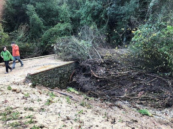 Archivo - Las tormentas provocan afectaciones en caminos de Collserola
