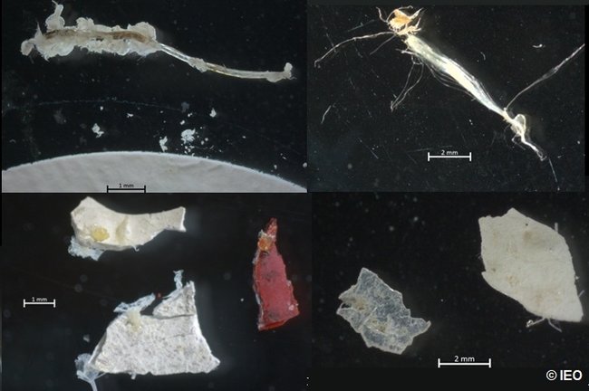 Microplásticos recogidos en aguas de la ría de Vigo por investigadores del Instituto Español de Oceanografía (IEO).