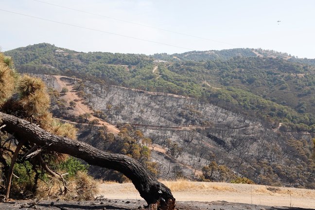 Parajes quemados por el incendio de Sierra Bermeja 