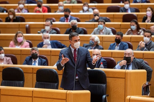 El presidente del Gobierno, Pedro Sánchez, interviene durante el primer pleno y primera sesión de control al Gobierno en el Senado tras el parón estival, a 14 de septiembre de 2021, en Madrid (España). 