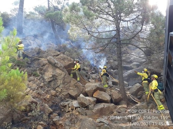 Efectivos del Infoca trabajando en el incendio de Sierra Bermeja