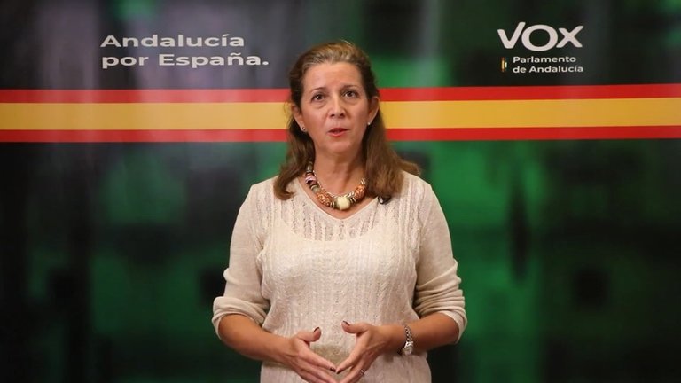 La portavoz de Vox en la comisión parlamentaria de Salud y Familias, María José Piñero.