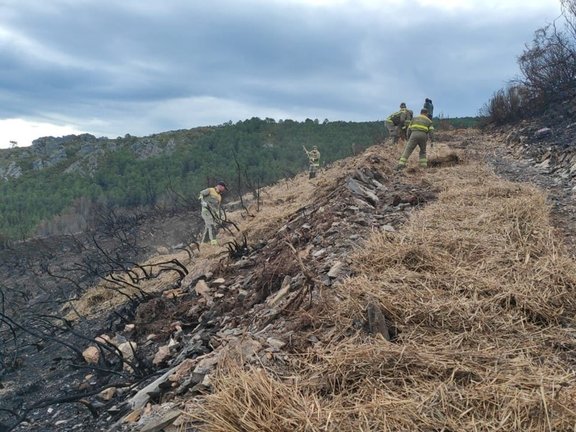 Aplicación de la técnica de 'mulching' en la zona afectada por el incendio de Ribas de Sil (Lugo)