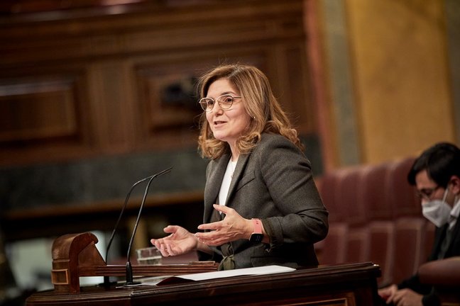 Archivo - Pilar Cancela interviene durante una sesión plenaria en el Congreso de los Diputados, en Madrid, (España), a 23 de febrero de 2021.