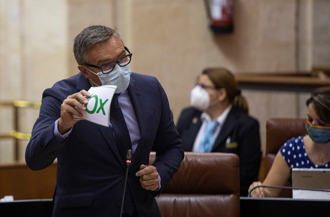 El portavoz del grupo parlamentario Vox, Manuel Gavira, en una foto de archivo en el Pleno del Parlamento andaluz.