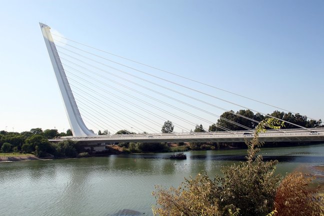 Archivo - Puente del Alamillo en Sevilla