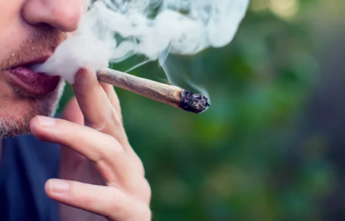 Según la legislación, los mayores de 18 años podrán cultivar legalmente hasta cuatro plantas de cannabis por hogar para uso personal. Fotografía: Etienne Ansotte/EPA