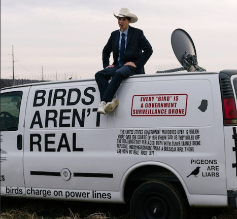 Los pájaros no son reales es una teoría de conspiración alimentada por la generación Z. / @rana.young