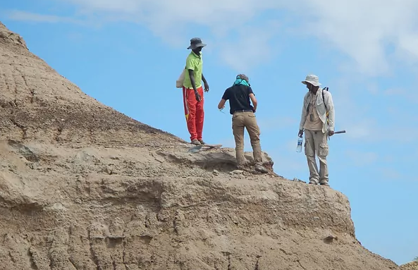 Científicos toman muestras del lugar de Etiopía donde se hallaron los fósiles. ALAN DEINO