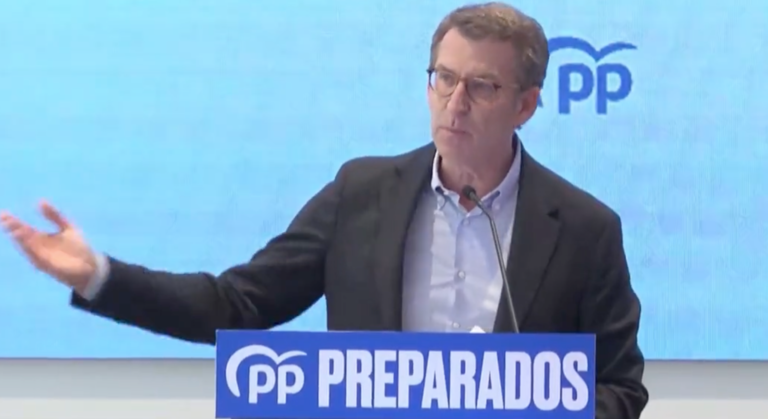 El precandidato a la presidencia del PP, Alberto Núñez Feijóo. / ALERTA