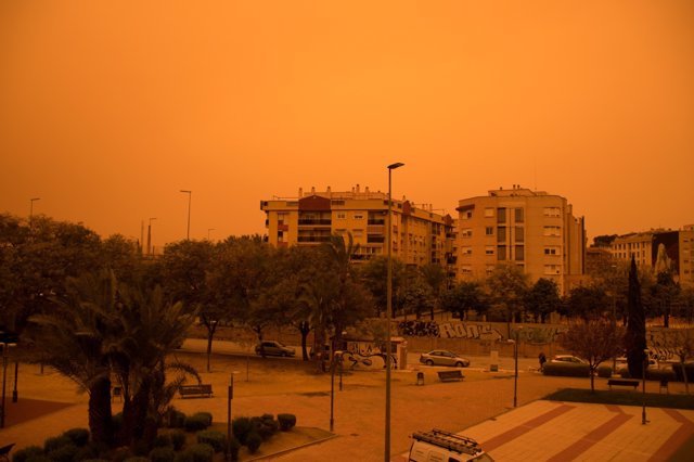 Un excepcional episodio de polvo procedente del desierto del Sahara se registra este lunes por la tarde en varias provincias.