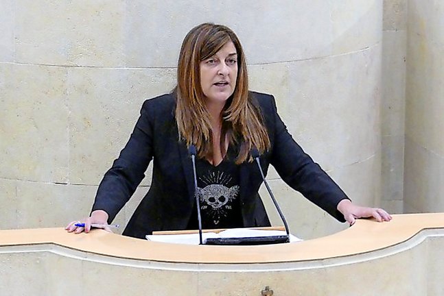 La presidenta del PP, María José Sáenz de Buruaga durante la sesión parlamentaria. / alerta