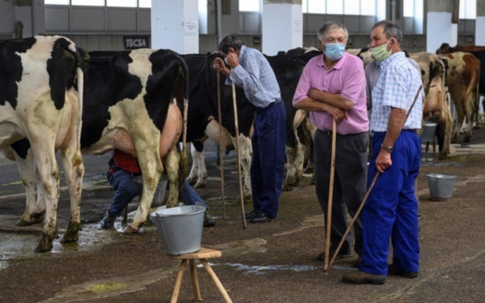 Varios ganaderos en la Feria de Ganado de Torrelavega. / ALERTA