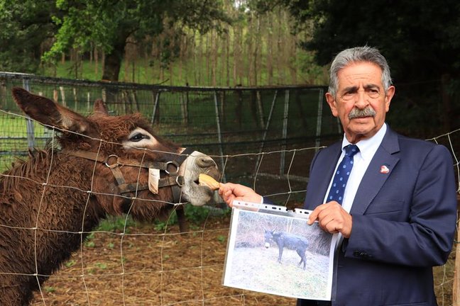 El presidente de Cantabria, Miguel Ángel Revilla, visita el refugio de animales. / Celia Agüero