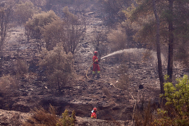 Varios bomberos trabajan en las labores de extinción del incendio procedente de Galicia en el municipio de Puente de Domingo Flórez. /Ana F. Barredo
