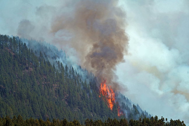El incendio forestal que comenzó el jueves en Tenerife ha afectado ya a unas 2.000 hectáreas, tiene unos 20 kilómetros de perímetro. Ramón de la Rocha.