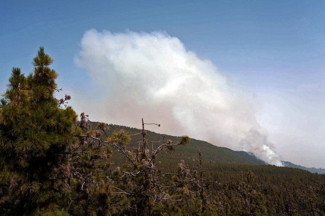 El incendio forestal que comenzó el jueves en Tenerife ha afectado ya a unas 2.000 hectáreas, tiene unos 20 kilómetros de perímetro y presenta dificultades para su control debido a una meteorología cambiante. /Ramón de la Rocha