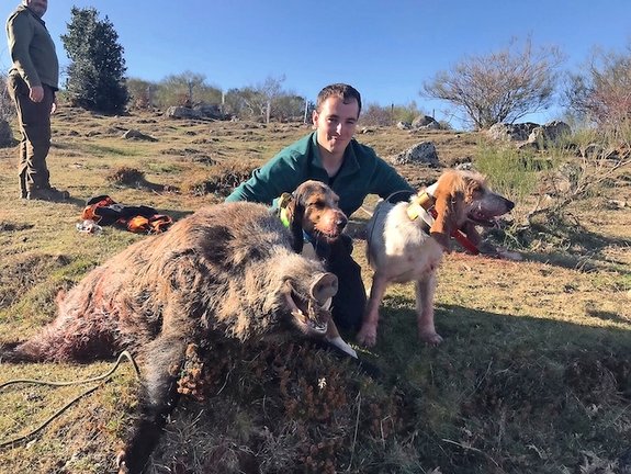 Daniel Arenas posa con sus perros y un jabalí tras una jornada de caza. / Saja