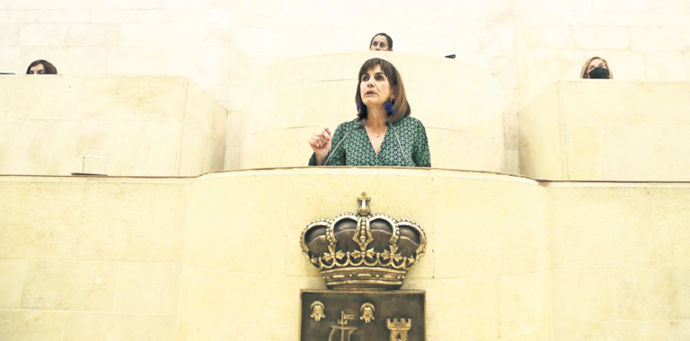 La consejera de Economía y Hacienda del Gobierno de Cantabria, Ana Belén Álvarez, rechazó en el Pleno del Parlamento una rebaja en los tramos del IRPF. / ALERTA