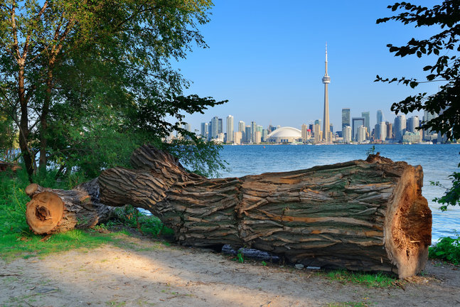 Horizonte de Toronto sobre un lago con la arquitectura urbana vista desde el parque.