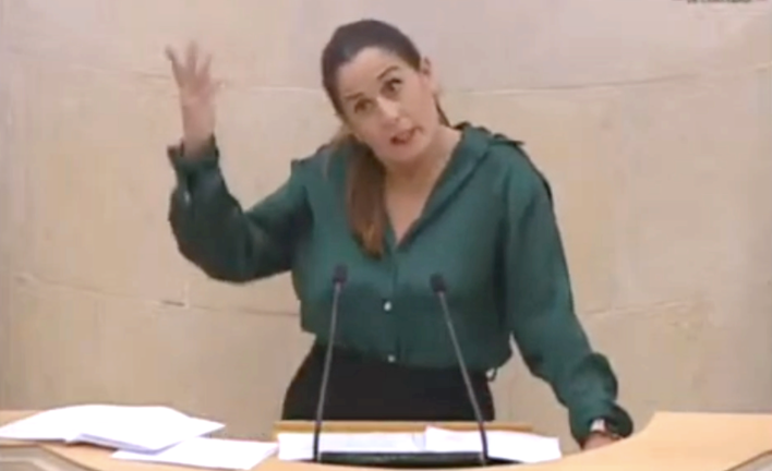 La diputada regionalista Emilia Aguirre ayer en el Parlamento de Cantabria. / ALERTA