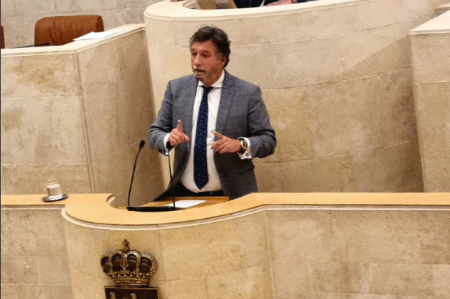 El portavoz de Vox, Cristóbal Palacio durante la sesión de ayer en el Parlamento de Cantabria. / ALERTA