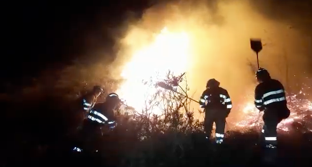 Varios operarios tratando de apagar el incendio de Arenas de Iguña. / ALERTA