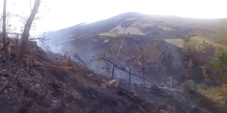 Incendio ocurrido estos últimos días en Cantabria. / ALERTA