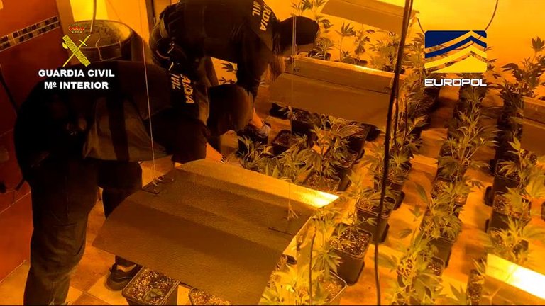Una organización criminal que enviaba desde Granada cargamentos de marihuana y hachís desde 2019 -ocultos en camiones y autocaravanas- a Europa ha sido desmantelada por la Guardia Civil, en colaboración con Europol. / EFE