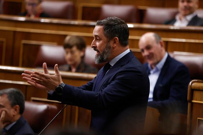 El líder de Vox, Santiago Abascal, durante su intervención en la sesión de control al Gobierno este miércoles en el Congreso. EFE/ J.C. Hidalgo