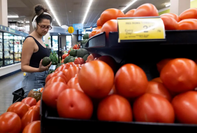 Una mujer hace compras en un supermercado de EE.UU., en una fotografía de archivo. EFE/Michael Reynolds