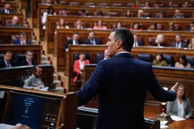 El presidente del Gobierno, Pedro Sánchez (de espaldas), interviene durante la sesión de control celebrada, este miércoles, en el Congreso de los Diputados. EFE/ Juan Carlos Hidalgo