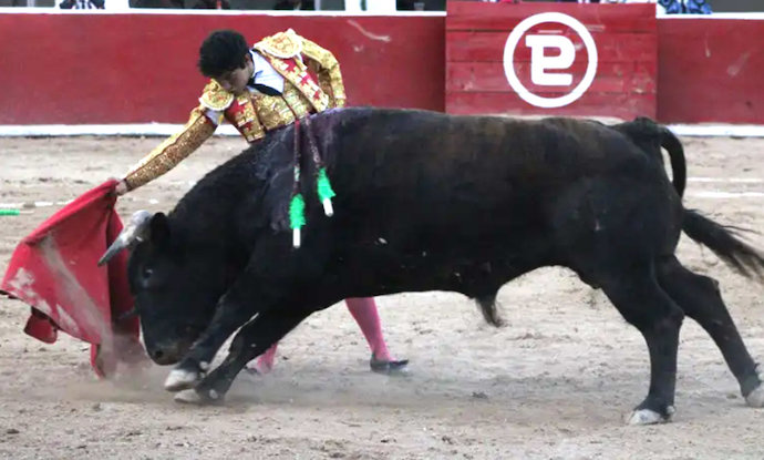 El torero mexicano Isaac Fonseca lidia a un toro de Torreón de Cañas durante una corrida. / EFE/JorgE gaLLEgos