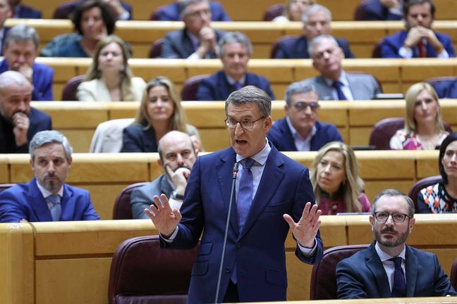El líder del Partido Popular, Alberto Núñez Feijóo interviene durante el pleno del Senado, este miércoles en Madrid . EFE/ Kiko Huesca