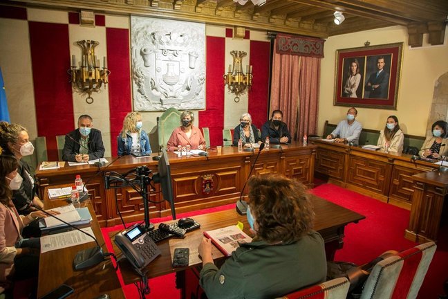 Comisión Interdepartamental de Coordinación del Plan de Acción para la Atención Integral de la Infancia y Adolescencia del Ayuntamiento de Camargo.