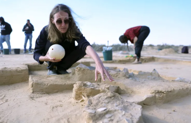 Lauren Davis, directora de excavaciones de la AAI, en la zona donde se hallaron los huevos de avestruz en Israel. EFE/Abir Sultan