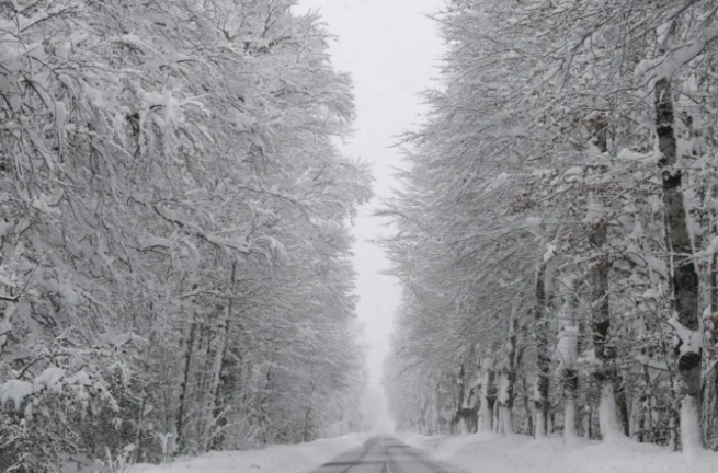 Una carretera de Roncesvalles (Navarra) cubierta por la nieve. EFE/Villar López