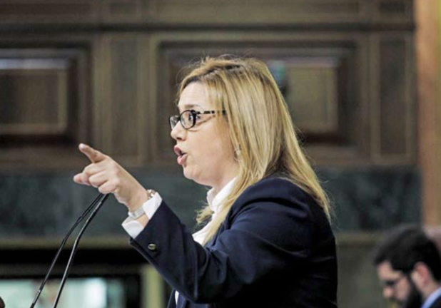 La diputada cántabra del PP, Elena Castillo, en su intervención en el Congreso. / ALERTA