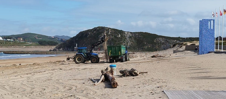 Tareas de limpieza de la playa de la Concha de Suances. Alerta