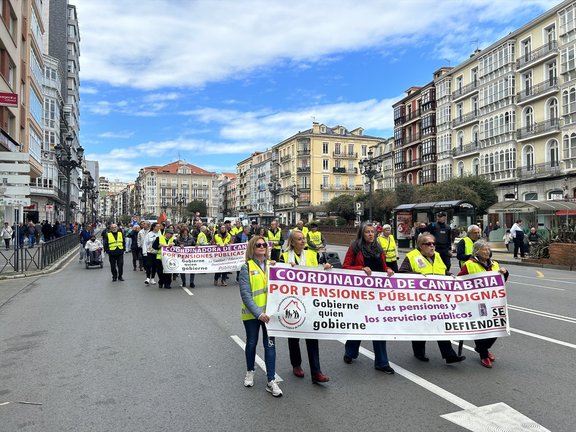 Unas 80 personas marcharon este viernes en Santander. / ALERTA