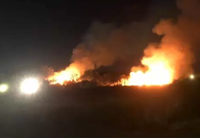 Incendio de vegetación en La Remonta. / BS