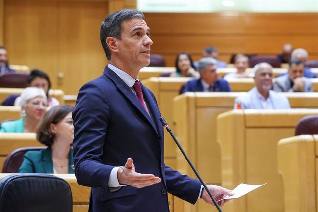 El presidente del Gobierno, Pedro Sánchez, interviene en la sesión de control celebrada este martes en el pleno del Senado, en Madrid. EFE/ Kiko Huesca