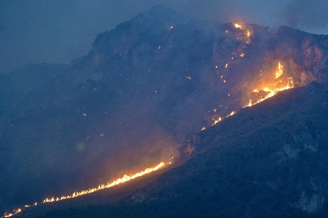 Las llamas se elevan en las colinas que rodean el área de Monte Grifone y la ciudad de Ciaculli, cerca de Palermo, Italia EFE/EPA/STR