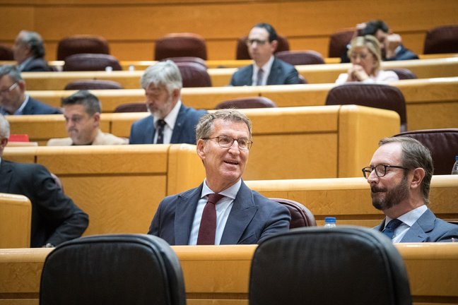 Alberto Núñez Feijóo y Javier Maroto durante una sesión plenaria en el Senado. / Diego Radamés