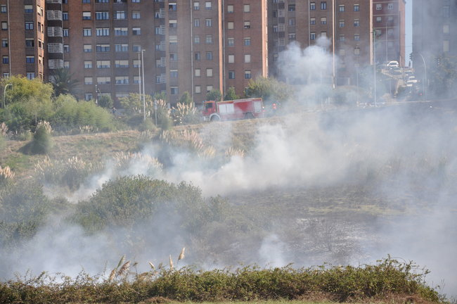 Los bomberos actuando en el incendio de vegetación en el parque Las Llamas. / Alerta