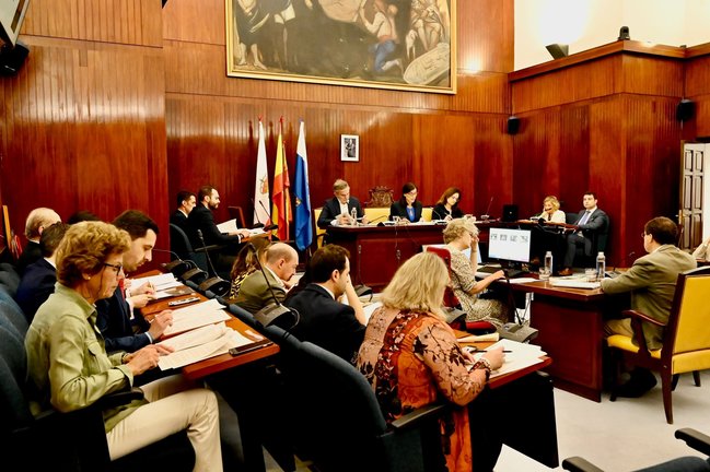 Pleno del Ayuntamiento de Santander. / ALERTA