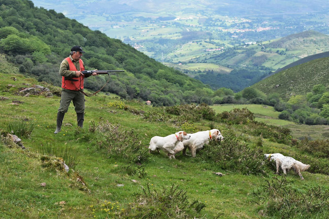 El cazador Jesús Lucio Salces en una de sus salidas con sus perros de caza. / ALERTA