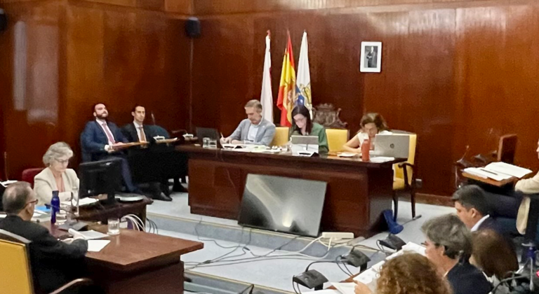 Vista general del pleno del Ayuntamiento de Santander ayer jueves. / Pablo Ayerbe