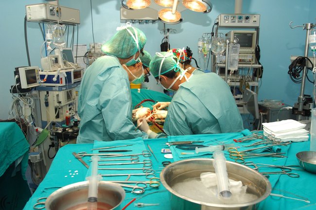 Cirujanos en plena operación de trasplante. / Alerta