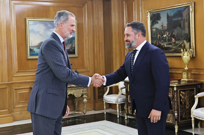 El presidente de Vox, Santiago Abascal, con el Rey Felipe VI en la nueva ronda de consultas tras la investidura fallida de Alberto Núñez Feijóo. / EP